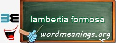 WordMeaning blackboard for lambertia formosa